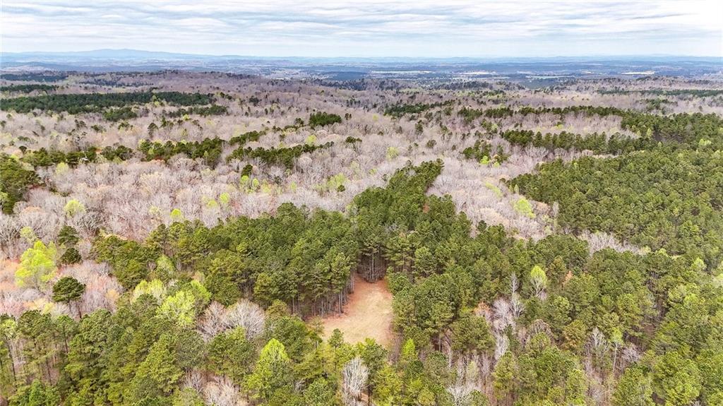 0 Felton Rockmart Road Buchanan, GA 30113 - Photo 31 of 47