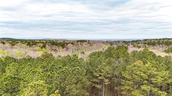 $1,200,000 | 0 Felton Rockmart Road, Buchanan, GA 30113