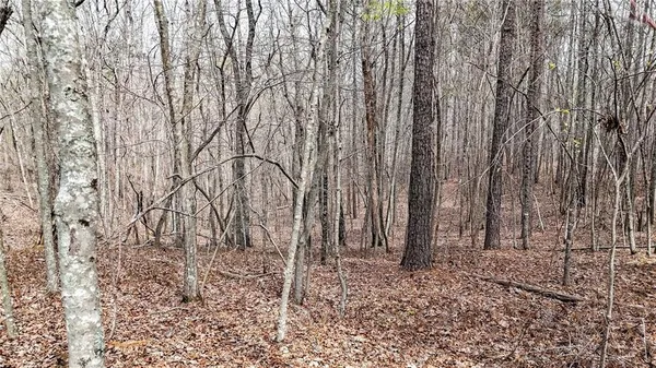 $1,200,000 | 0 Felton Rockmart Road, Buchanan, GA 30113