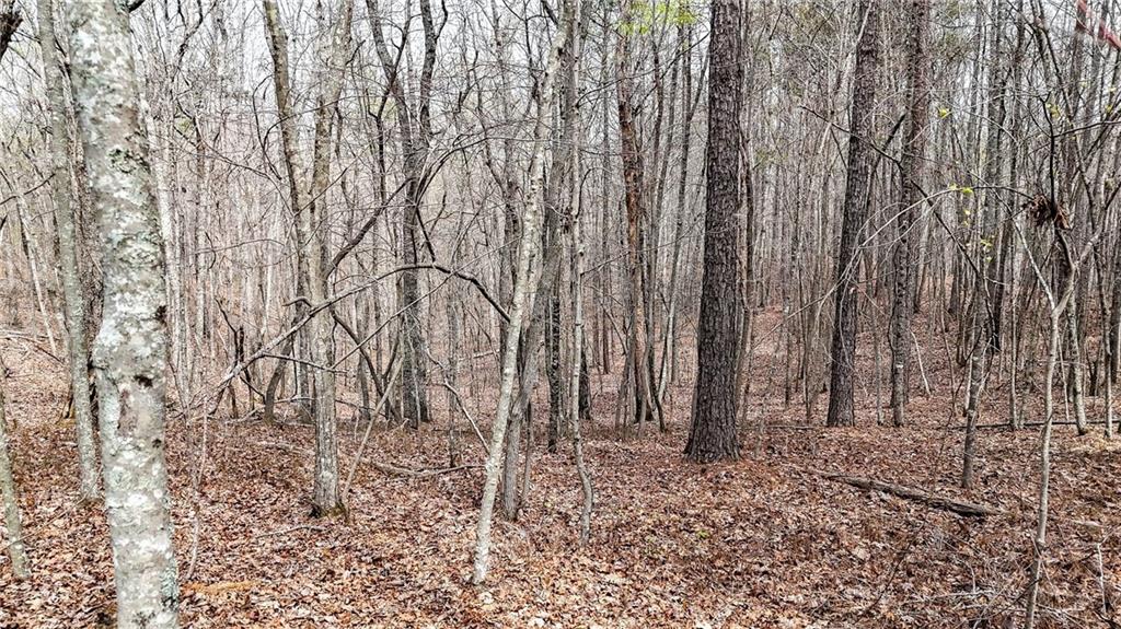 0 Felton Rockmart Road Buchanan, GA 30113 - Photo 33 of 47