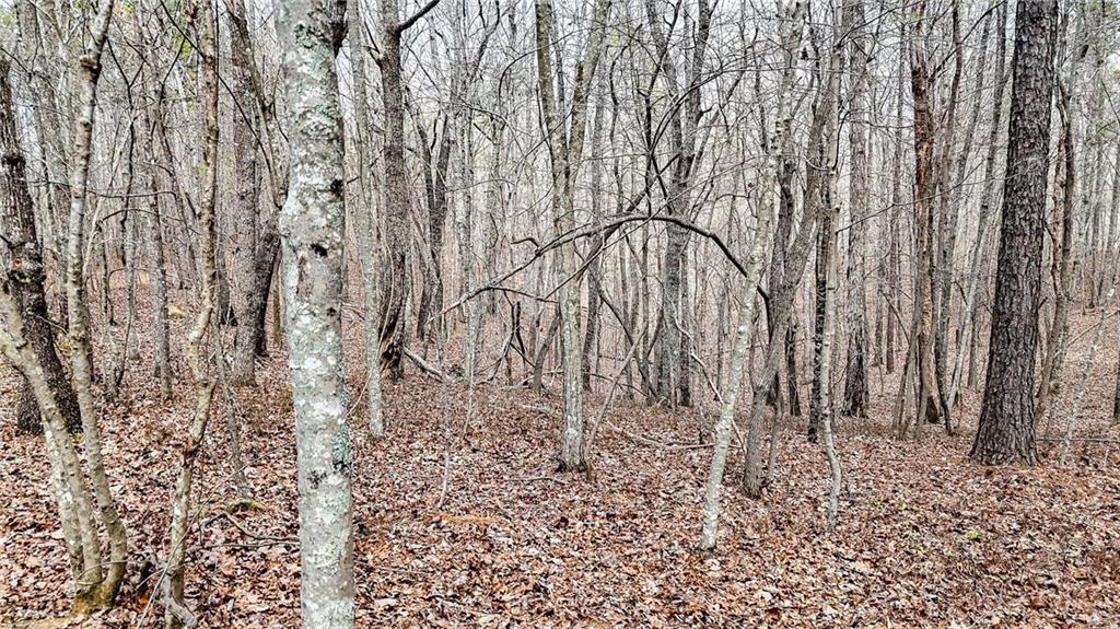 0 Felton Rockmart Road Buchanan, GA 30113 - Photo 34 of 47