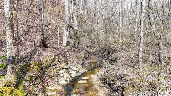 $1,200,000 | 0 Felton Rockmart Road, Buchanan, GA 30113