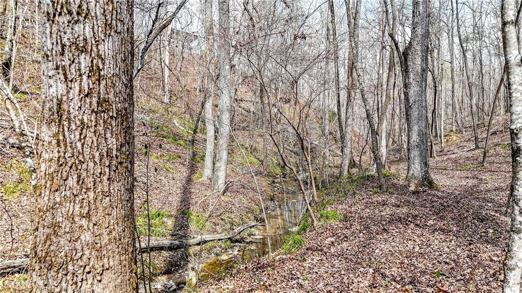 0 Felton Rockmart Road Buchanan, GA 30113 - Photo 36 of 47