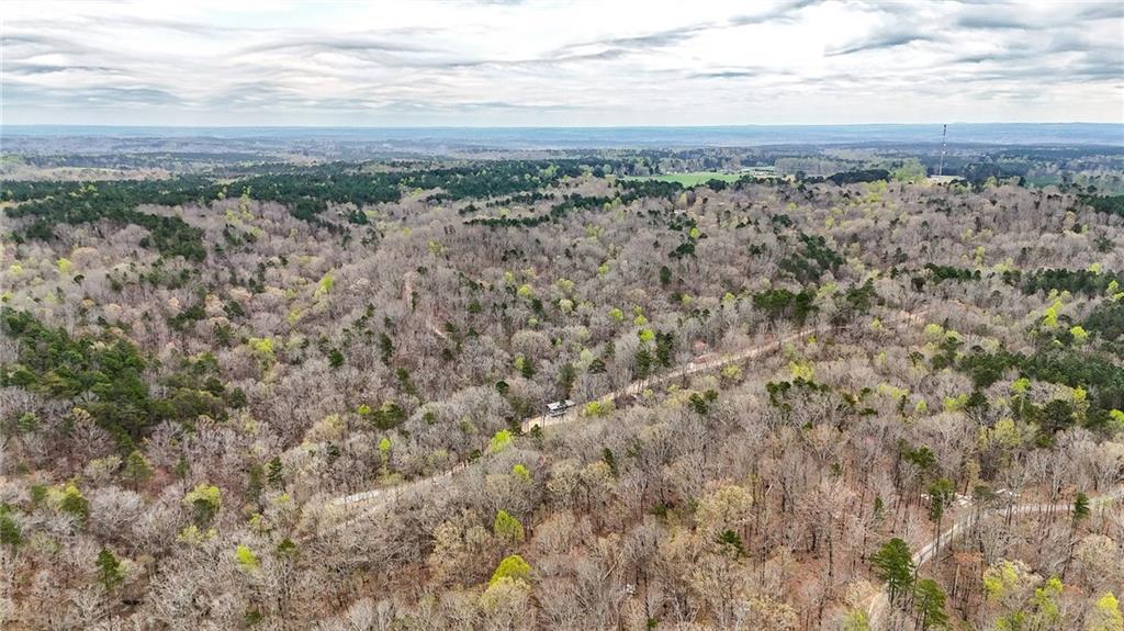 0 Felton Rockmart Road Buchanan, GA 30113 - Photo 38 of 47