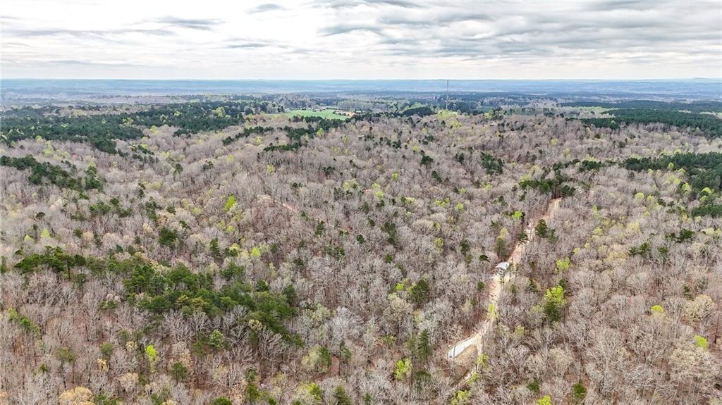 0 Felton Rockmart Road Buchanan, GA 30113 - Photo 40 of 47