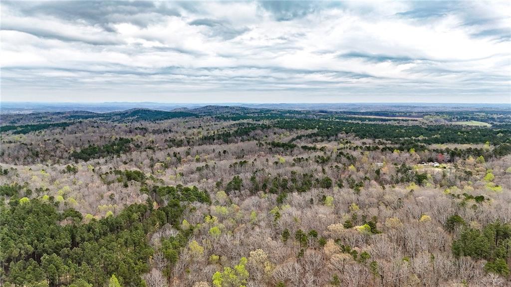 0 Felton Rockmart Road Buchanan, GA 30113 - Photo 44 of 47