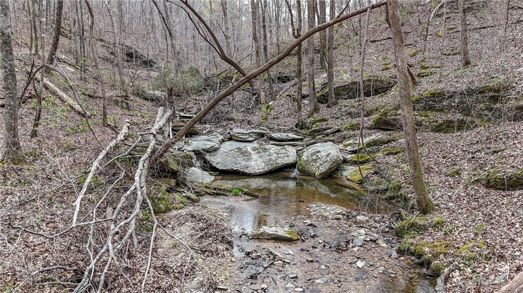 0 Felton Rockmart Road Buchanan, GA 30113 - Photo 6 of 47