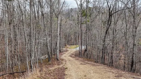 $1,200,000 | 0 Felton Rockmart Road, Buchanan, GA 30113