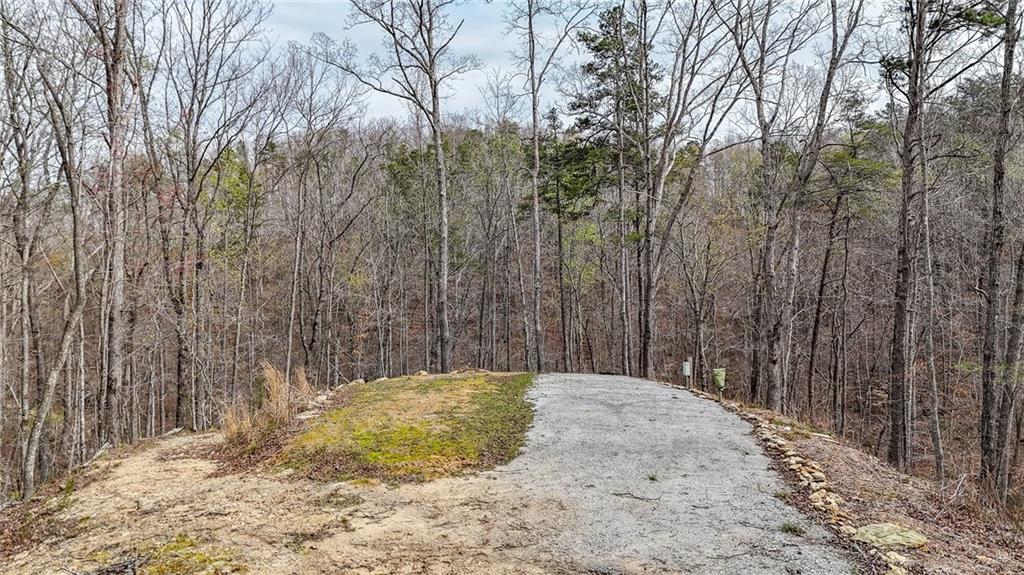 0 Felton Rockmart Road Buchanan, GA 30113 - Photo 9 of 47