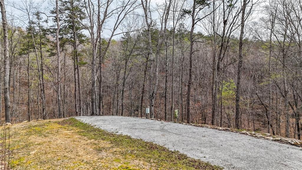 0 Felton Rockmart Road Buchanan, GA 30113 - Photo 10 of 47