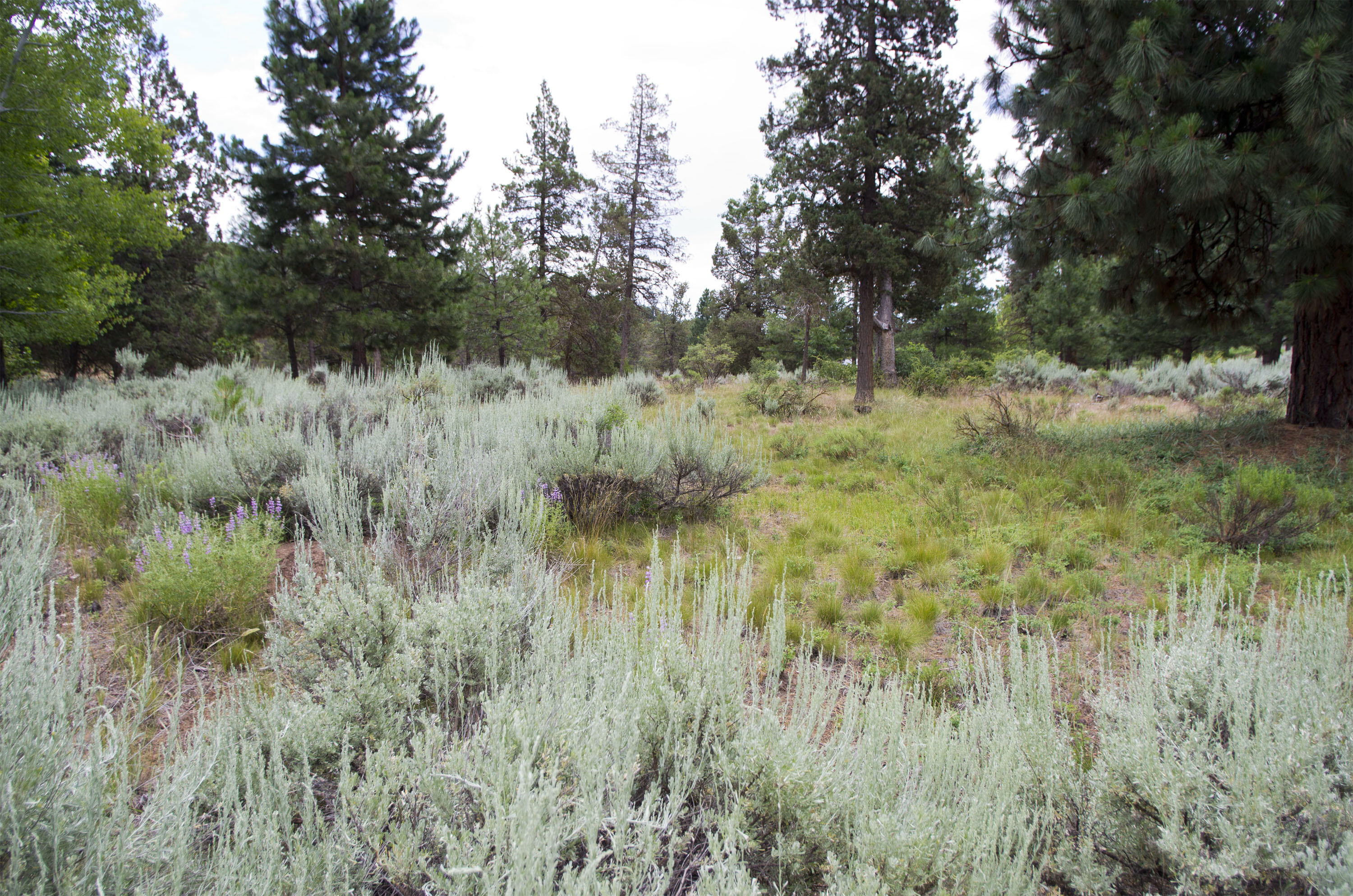 Murrelet Road Klamath Falls, OR 97601 - Photo 9 of 11 Lot09