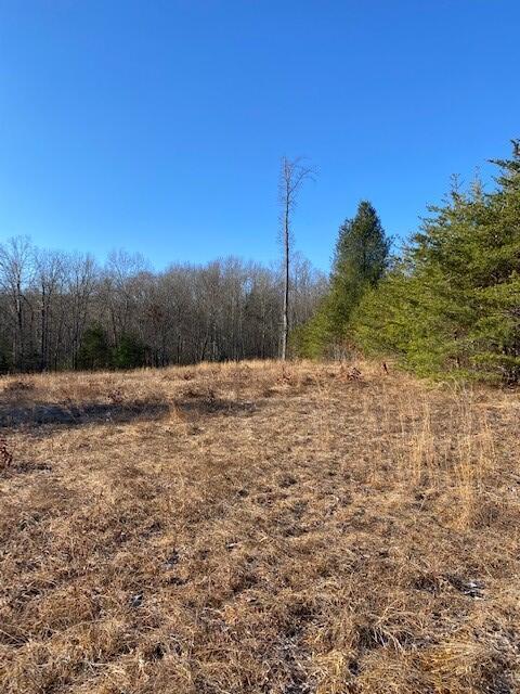 142 Cole Road Deer Lodge, TN 37726 - Photo 44 of 77 20220322195759024420000000-o