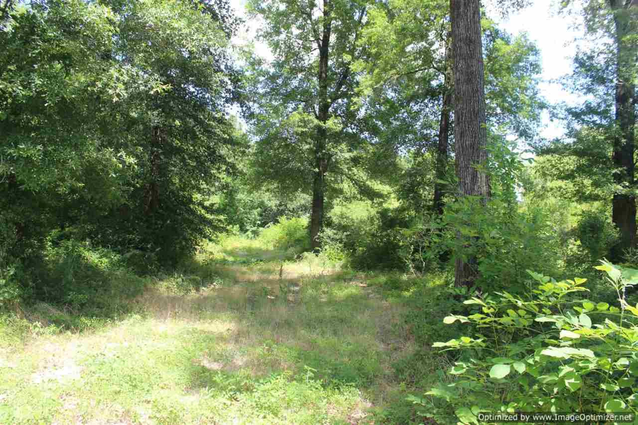 1 Race Track Road Yazoo City, MS 39194 - Photo 4 of 6 Photo 4