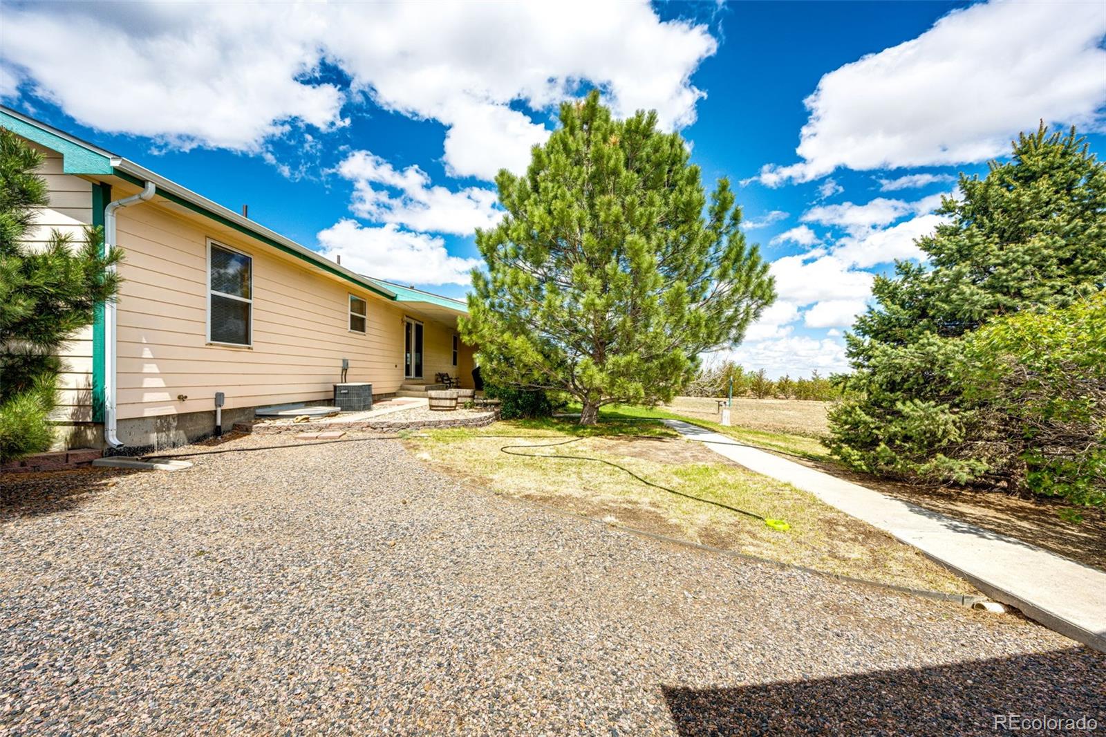 4420 Behrens Road Byers, CO 80103 - Photo 22 of 39 a view of a house with backyard and trees