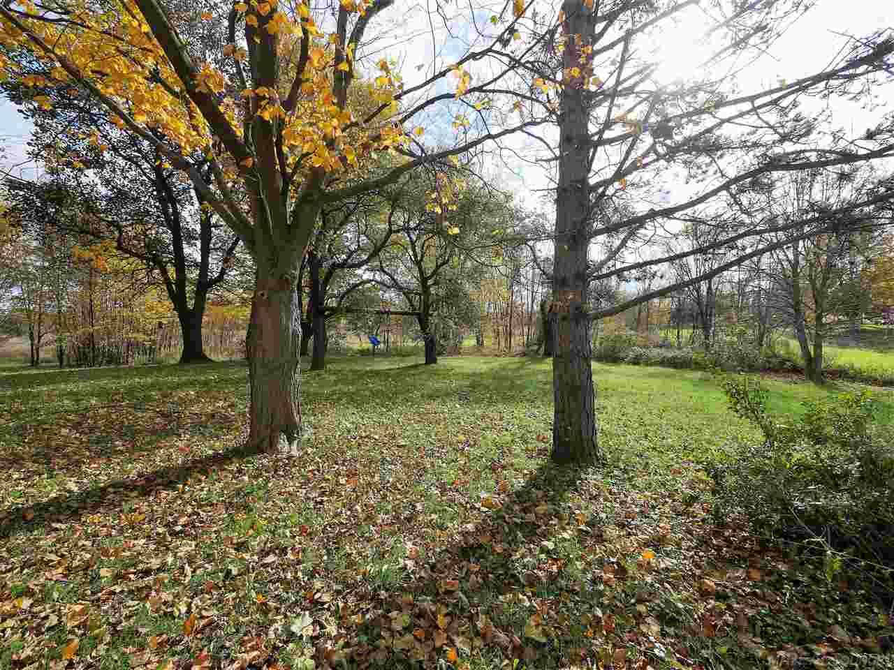418 Memphis Ridge Road Memphis, MI 48041 - Photo 6 of 18 50059820-5.JPG
