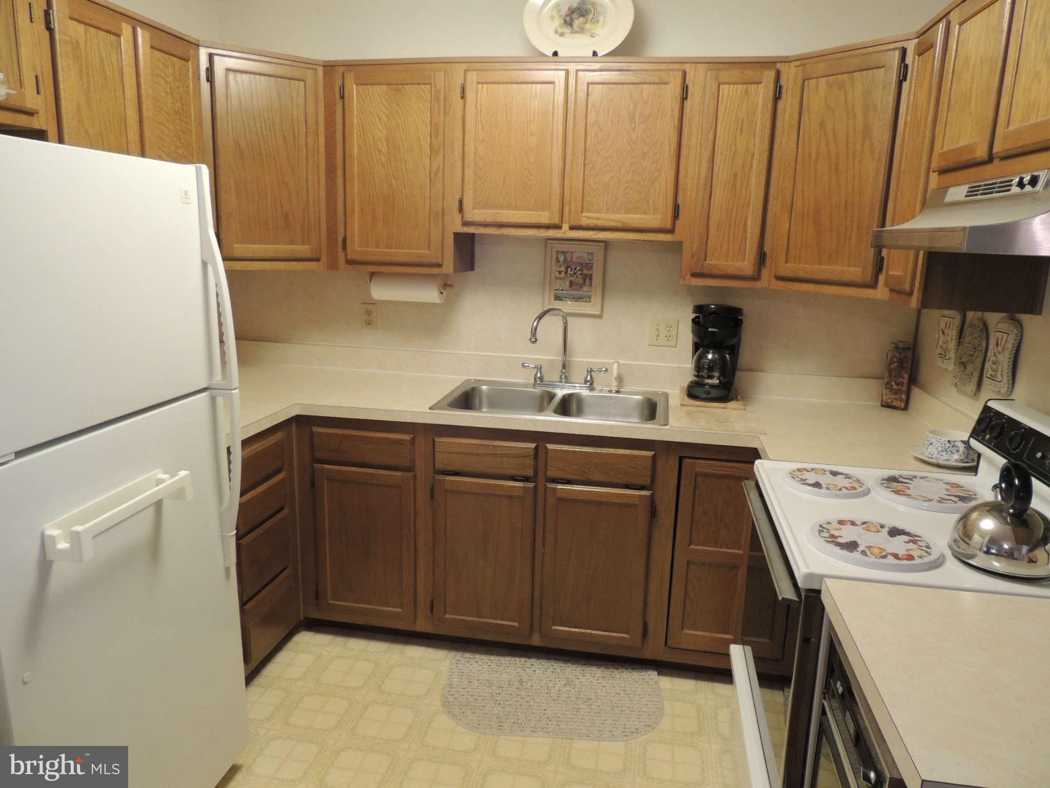 8441 Woodville Road Mount Airy, MD 21771 - Photo 13 of 24 In-law Suite Kitchenette