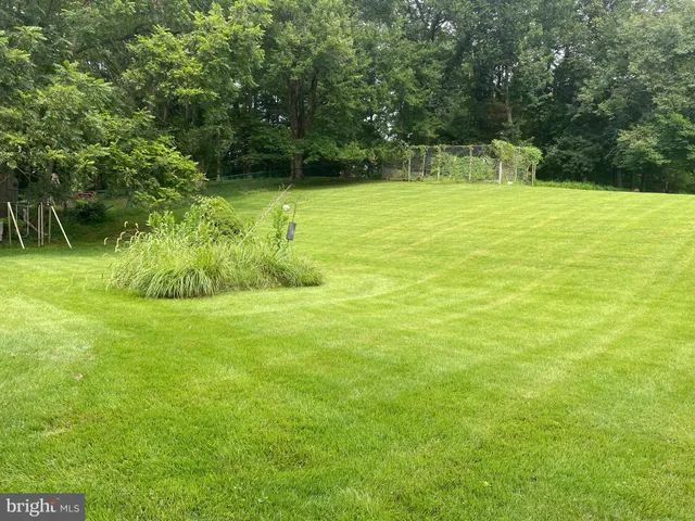a view of a swimming pool with a yard