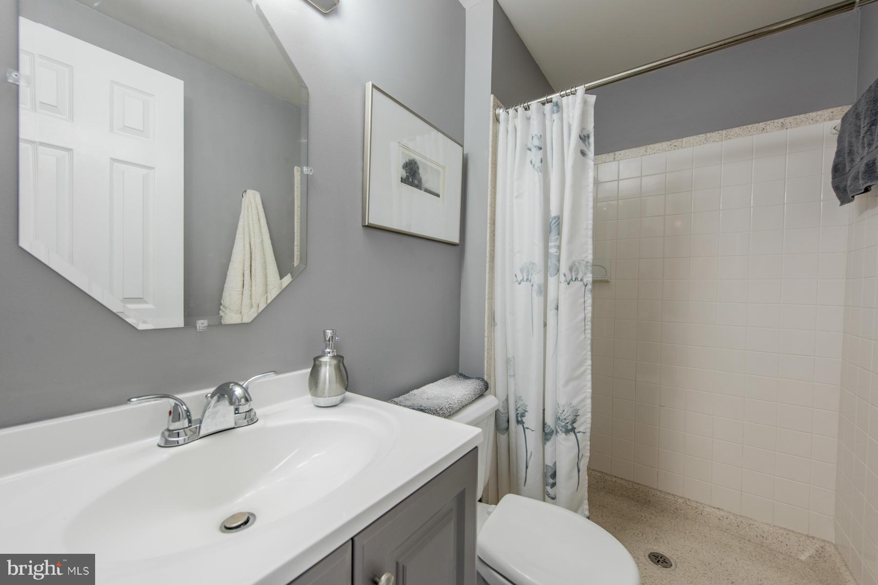 303 Spring Gate Court Mount Airy, MD 21771 - Photo 17 of 30 Bath (Master)