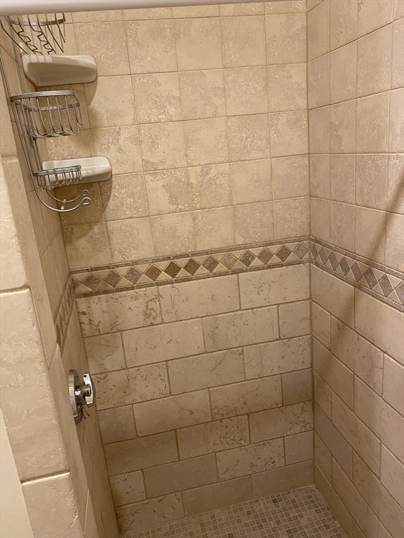 96 Marcella Street, Unit 2 Boston, MA 02119 - Photo 15 of 37 a bathroom with a shower