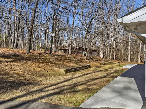 a view of a yard with large trees