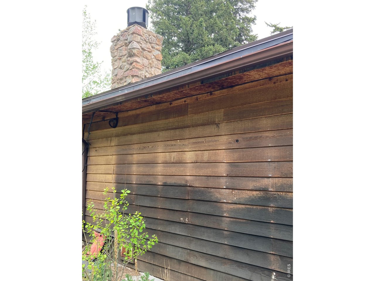 1064 Cold Springs Road Nederland, CO 80466 - Photo 21 of 48 a close view of door