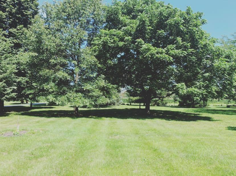 8760 Covington-Gettysburg Road Covington, OH 45318 - Photo 4 of 28