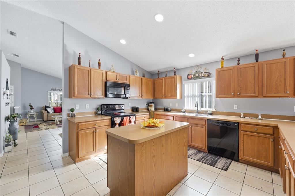 2219 Merry Road Tavares, FL 32778 - Photo 4 of 25