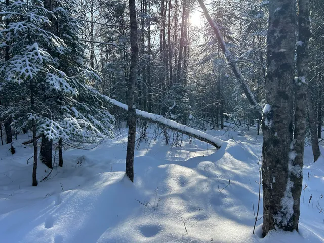 $49,900 | Lot A Holley Road, Farmington, ME 04938