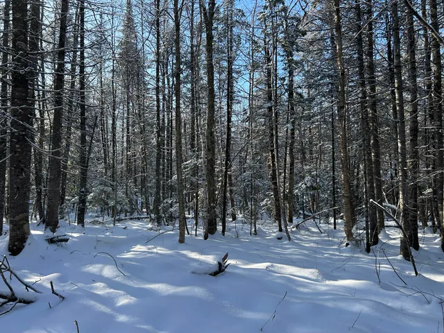 $49,900 | Lot A Holley Road, Farmington, ME 04938