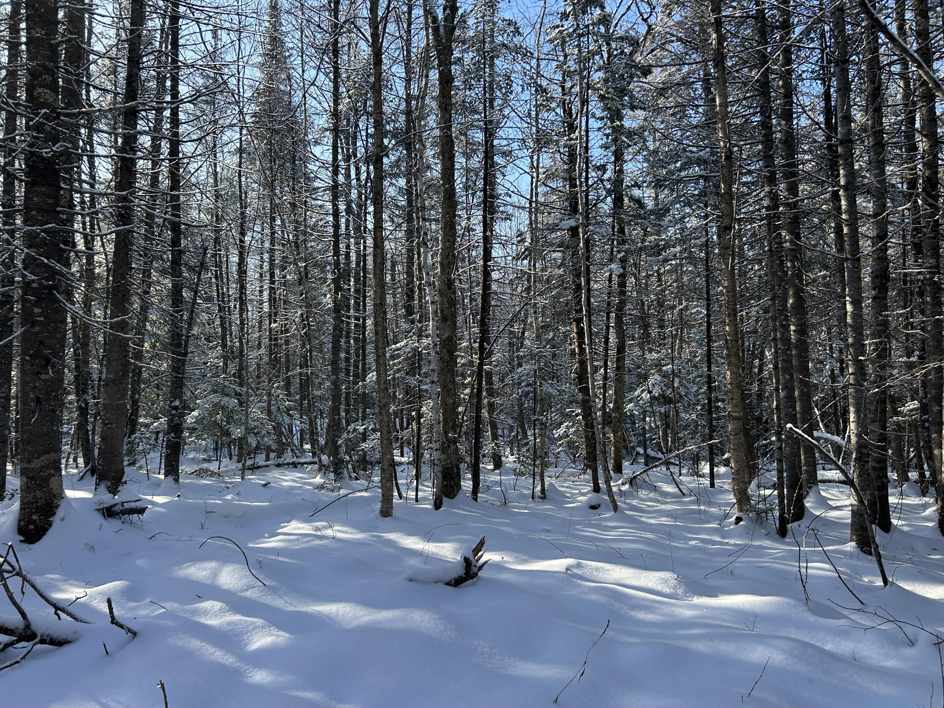 Lot A Holley Road Farmington, ME 04938 - Photo 12 of 28 IMG_6841