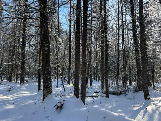 $49,900 | Lot A Holley Road, Farmington, ME 04938