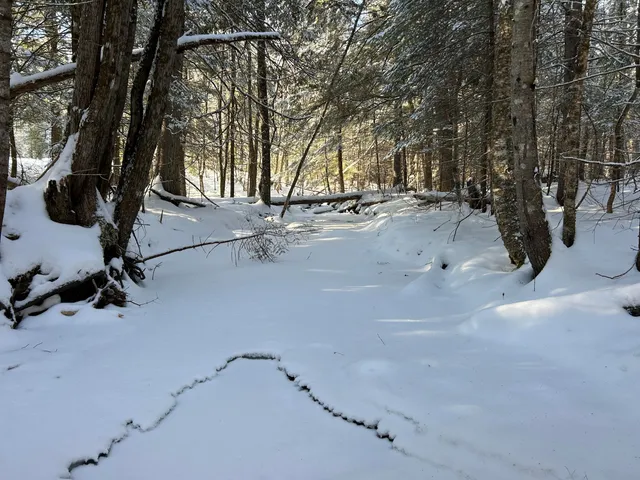 $49,900 | Lot A Holley Road, Farmington, ME 04938