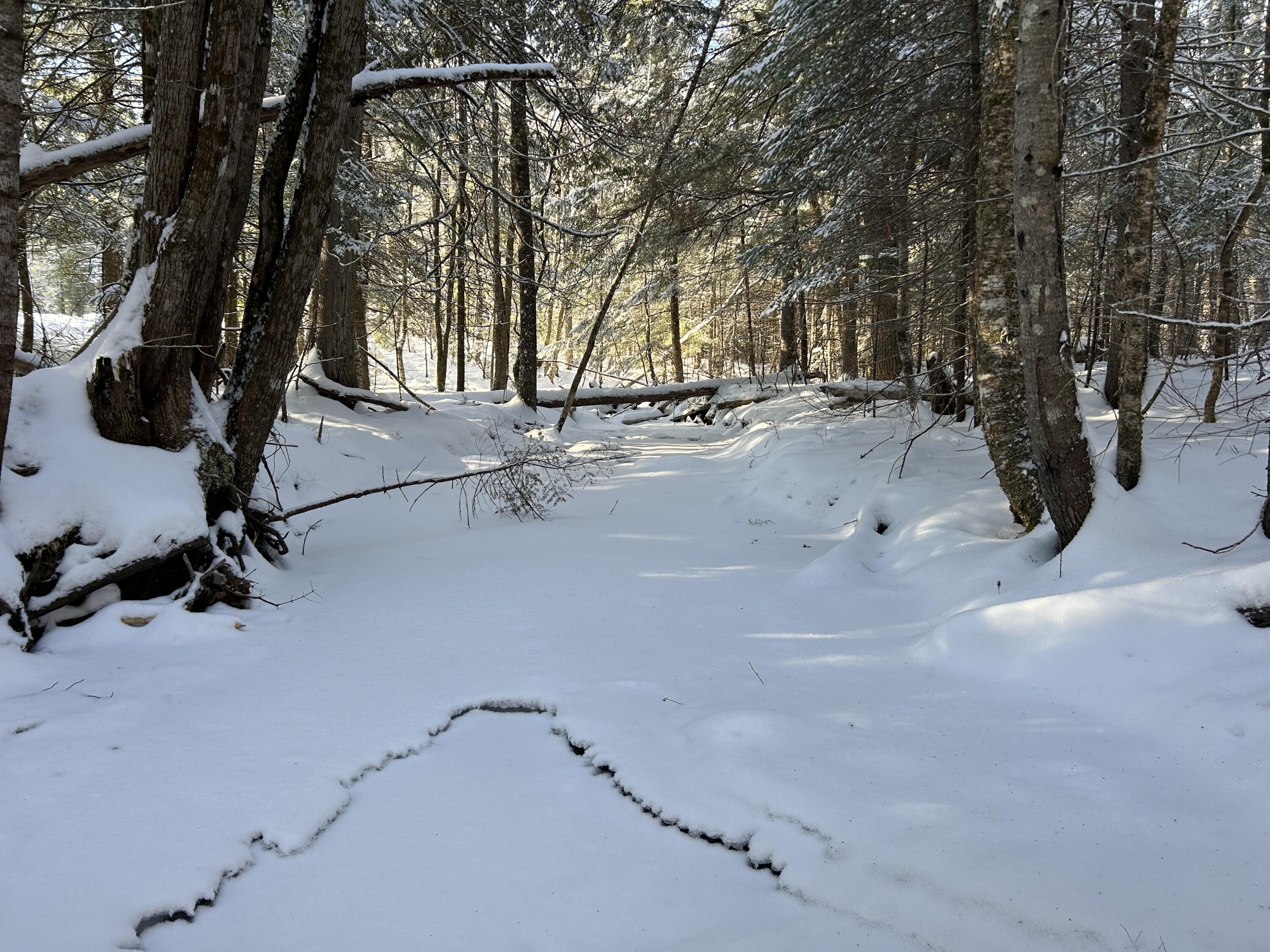 Lot A Holley Road Farmington, ME 04938 - Photo 16 of 28 IMG_6847