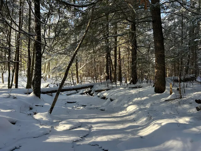 $49,900 | Lot A Holley Road, Farmington, ME 04938