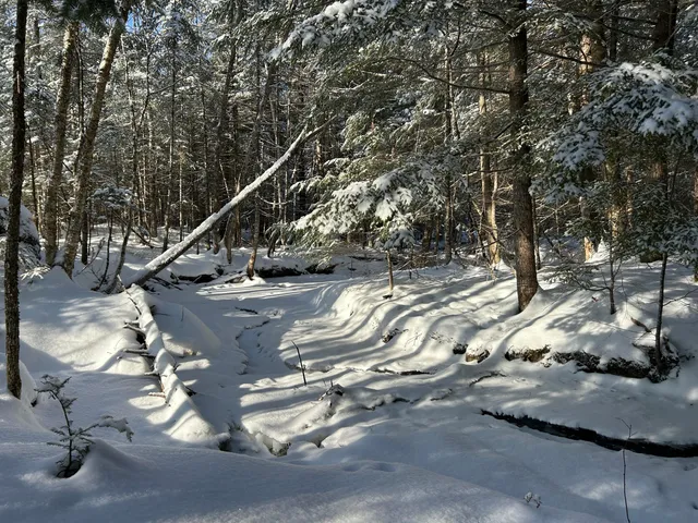 $49,900 | Lot A Holley Road, Farmington, ME 04938