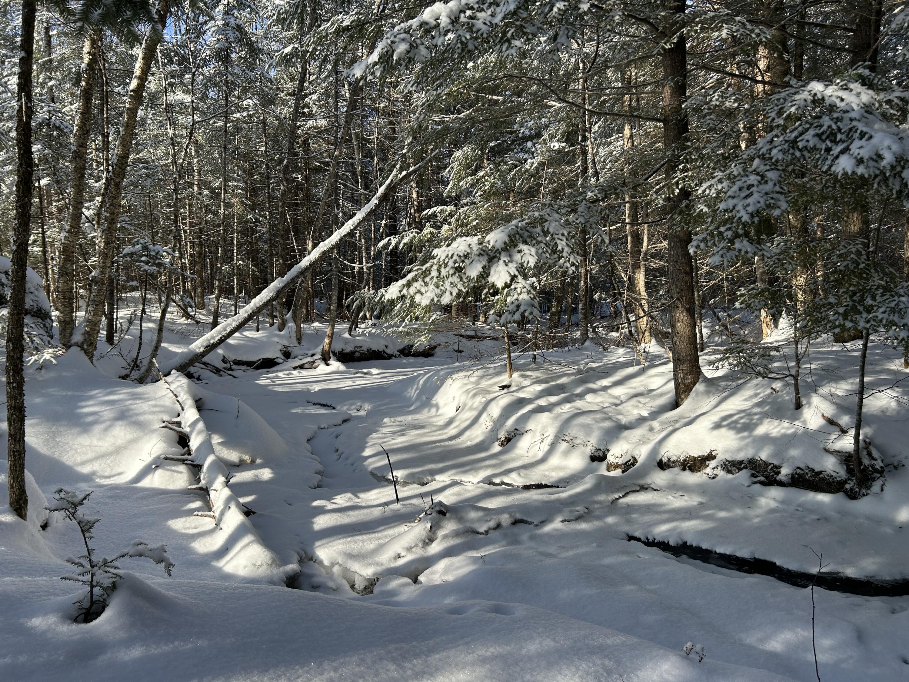 Lot A Holley Road Farmington, ME 04938 - Photo 18 of 28 IMG_6850