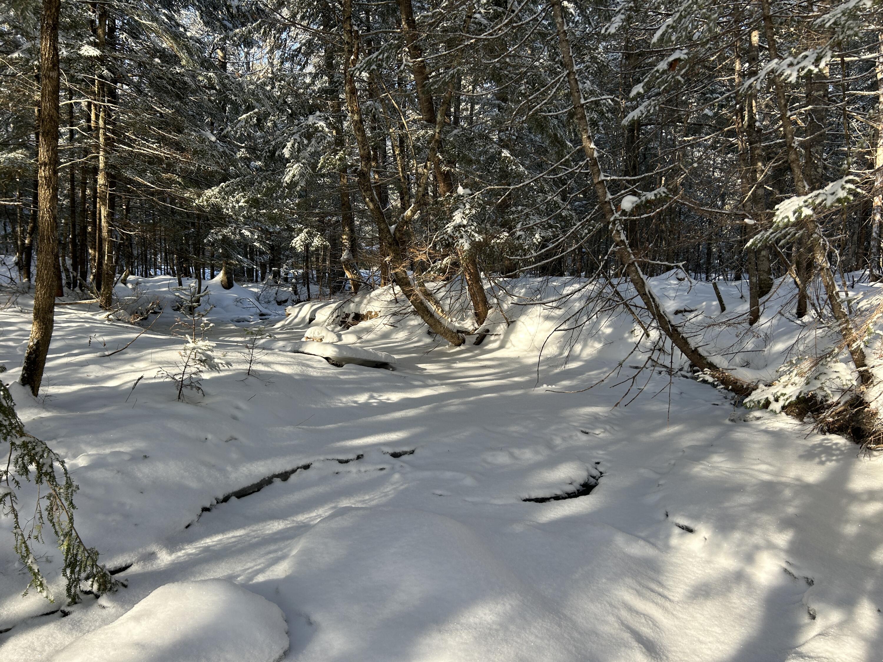 Lot A Holley Road Farmington, ME 04938 - Photo 19 of 28 IMG_6851