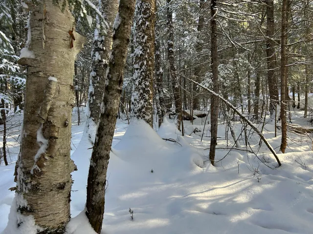 $49,900 | Lot A Holley Road, Farmington, ME 04938