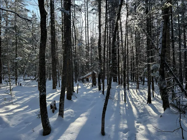 $49,900 | Lot A Holley Road, Farmington, ME 04938