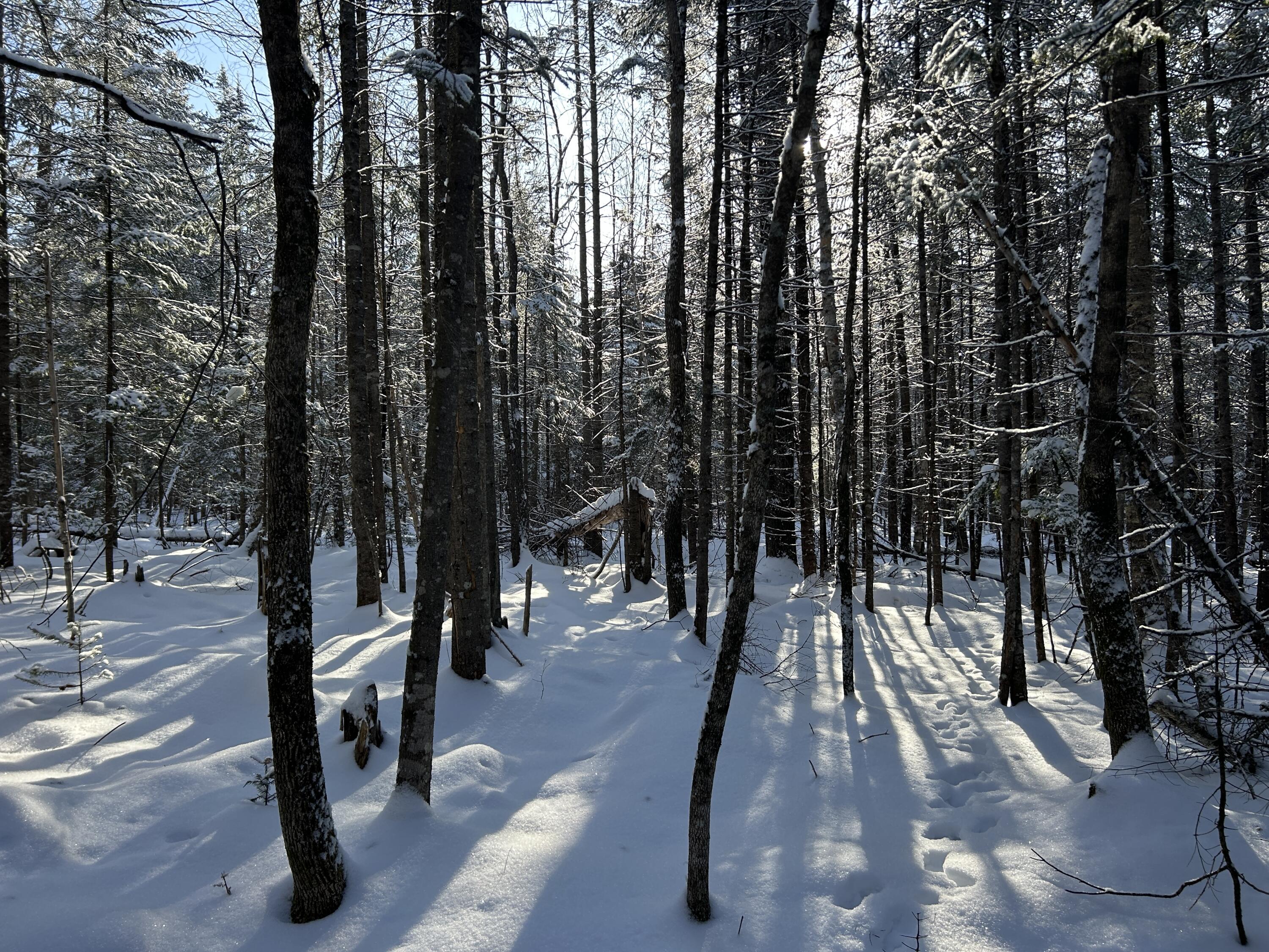 Lot A Holley Road Farmington, ME 04938 - Photo 21 of 28 IMG_6853 2