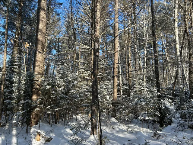 $49,900 | Lot A Holley Road, Farmington, ME 04938