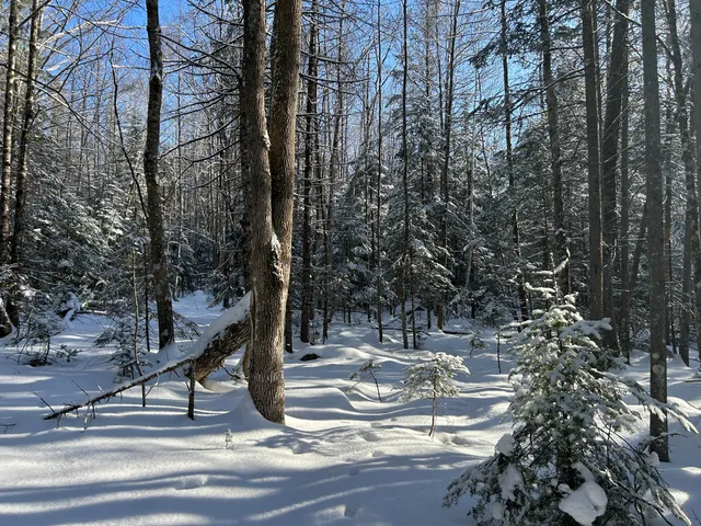 $49,900 | Lot A Holley Road, Farmington, ME 04938