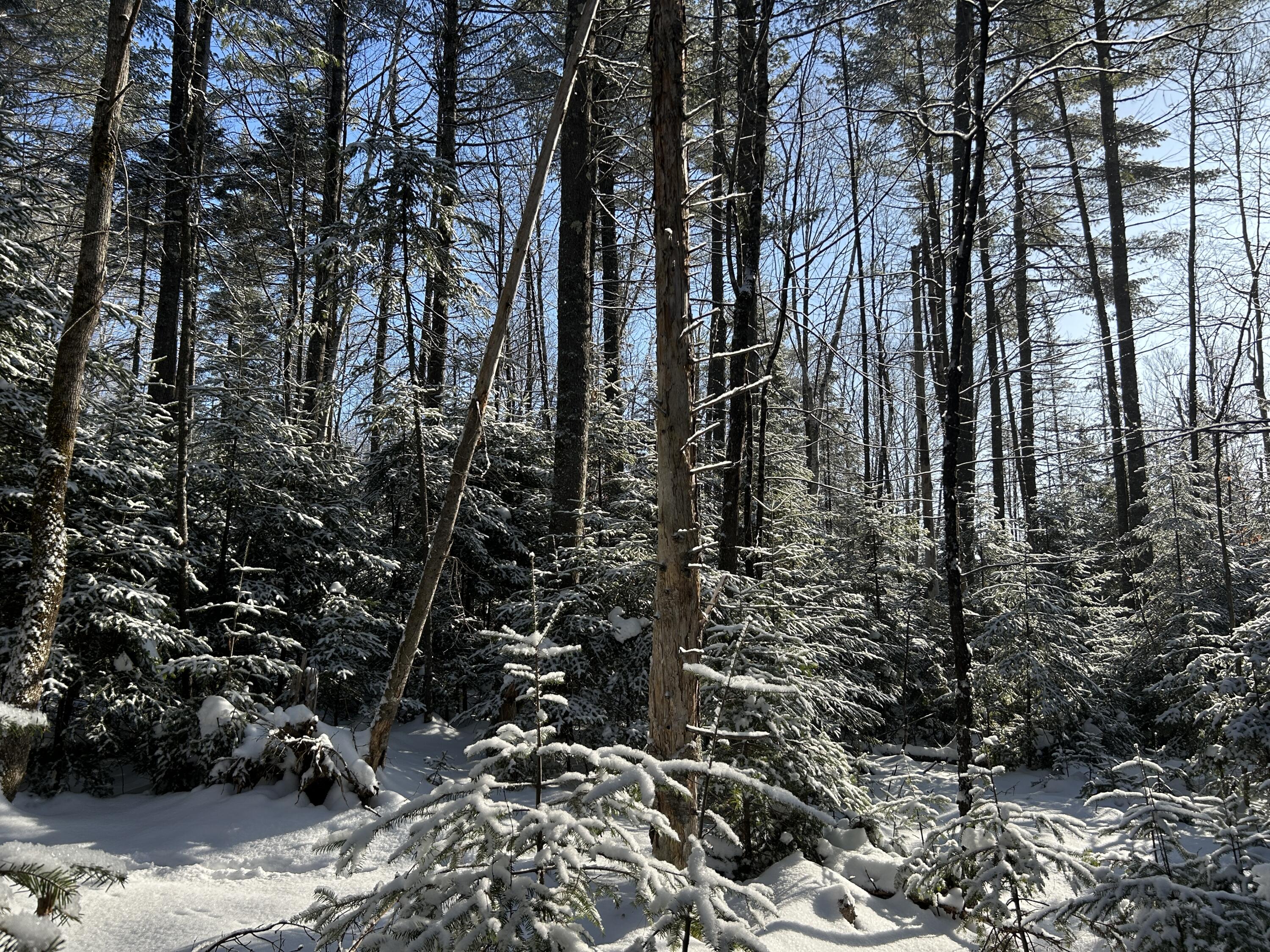 Lot A Holley Road Farmington, ME 04938 - Photo 9 of 28 IMG_6837 2