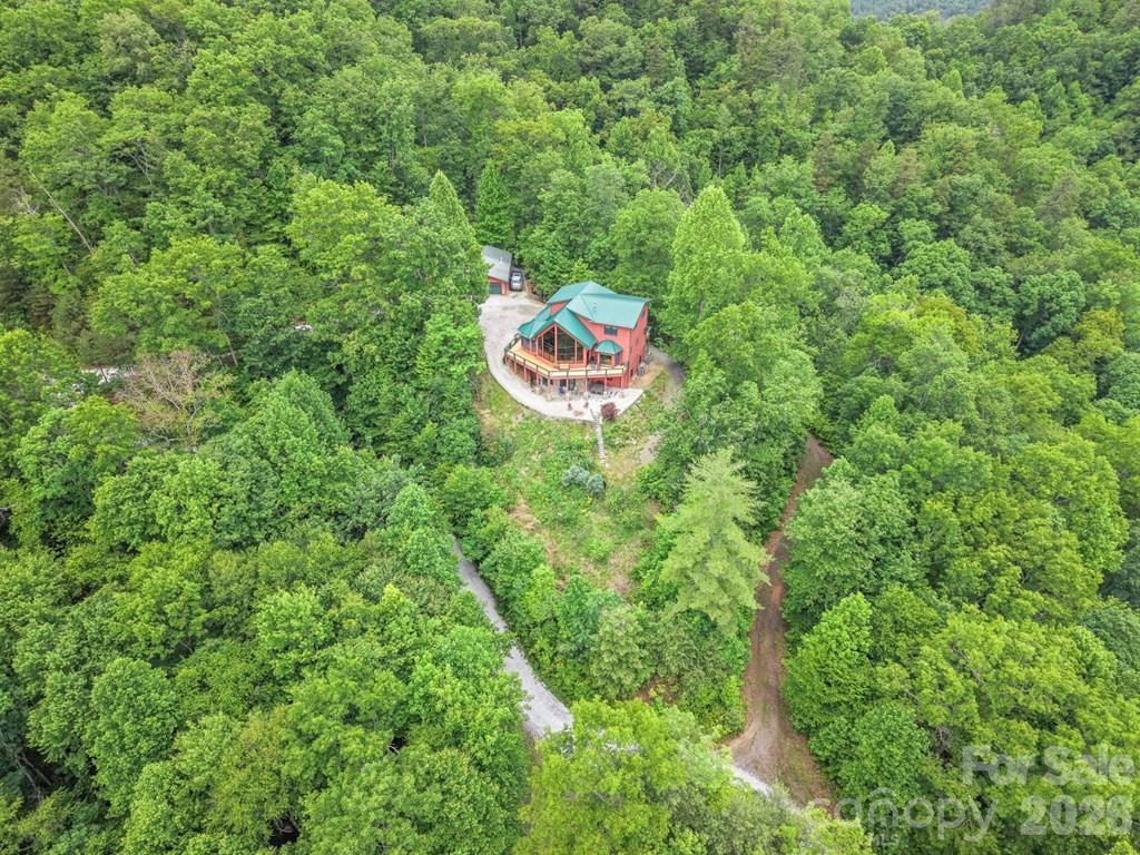 1188 Tobacco Branch Road Almond, NC 28702 - Photo 40 of 45