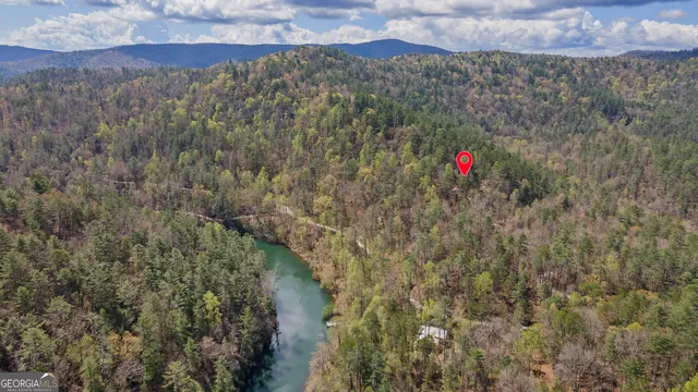 a view of a forest with mountains in the background