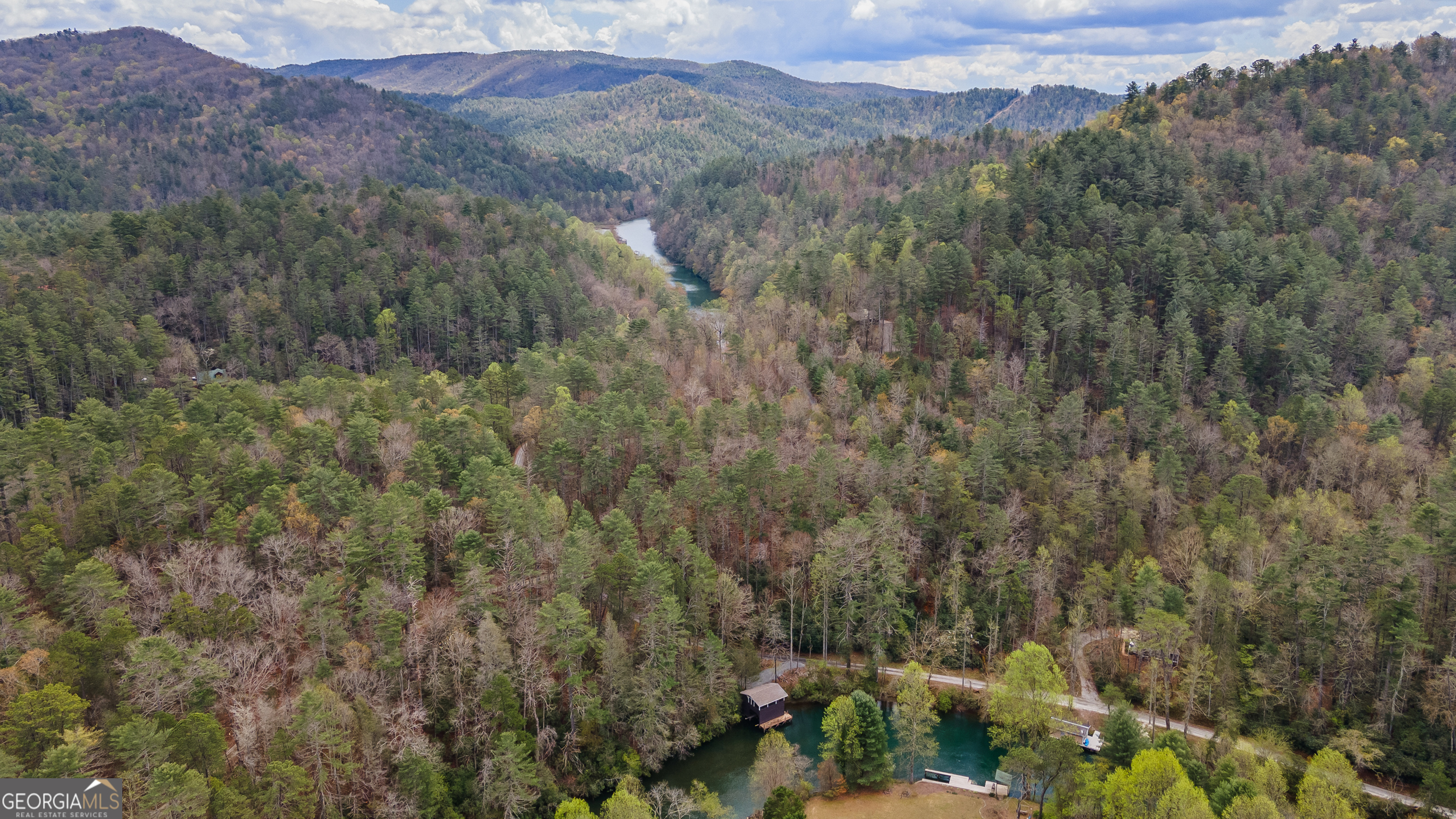 426 Crow Creek Road Lakemont, GA 30552 - Photo 57 of 60 a view of a forest with mountains in the background