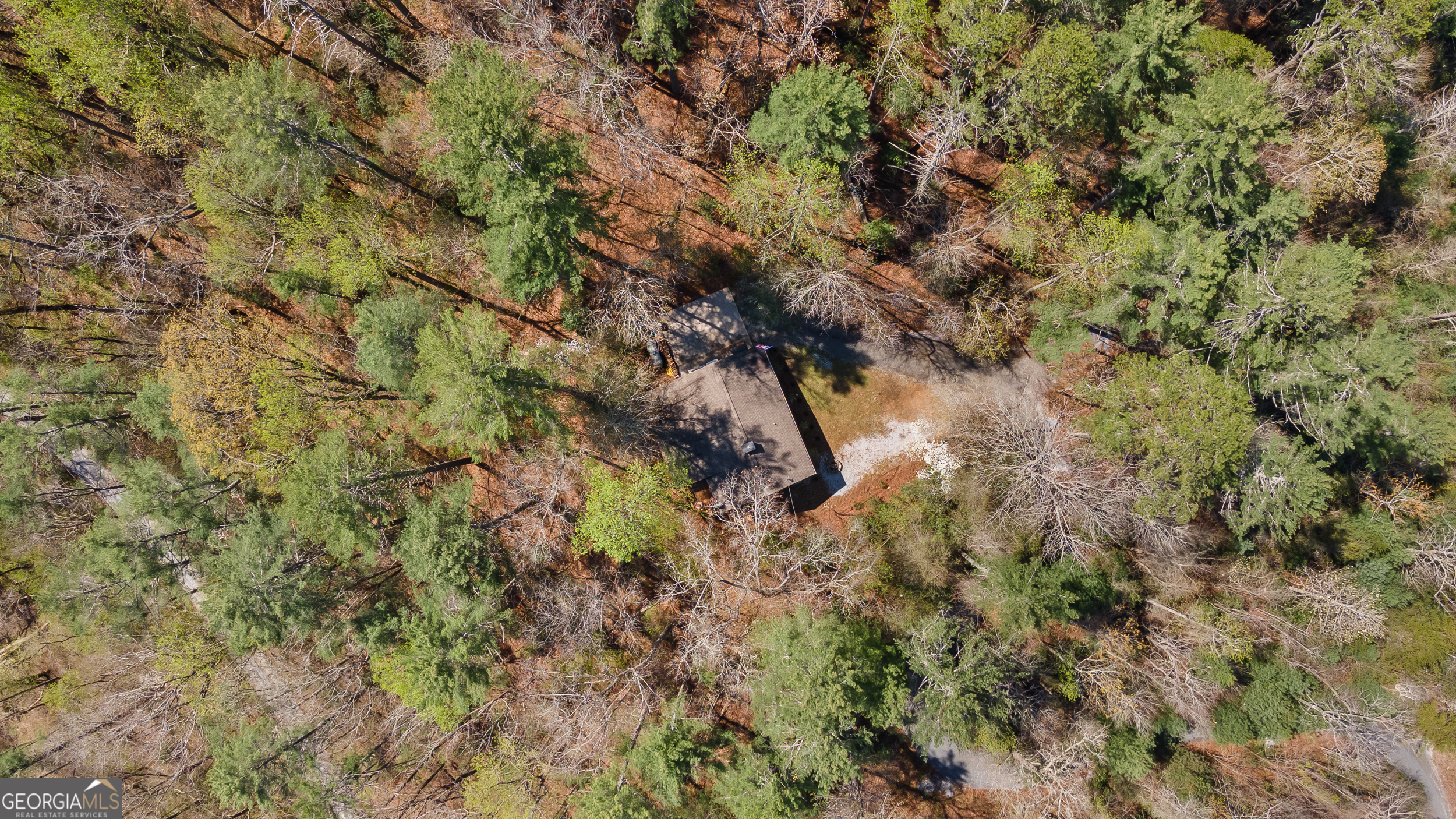 426 Crow Creek Road Lakemont, GA 30552 - Photo 8 of 60 a view of a dry yard with lots of bushes