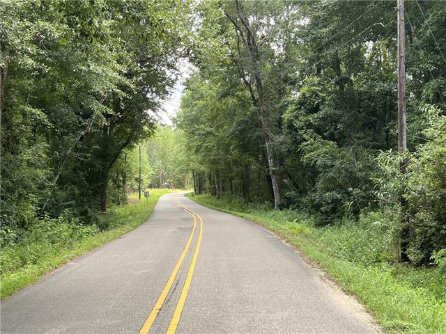 115-acres Watts Thomas Road Bush, LA 70431 - Photo 4 of 5 Gallery Image 4
