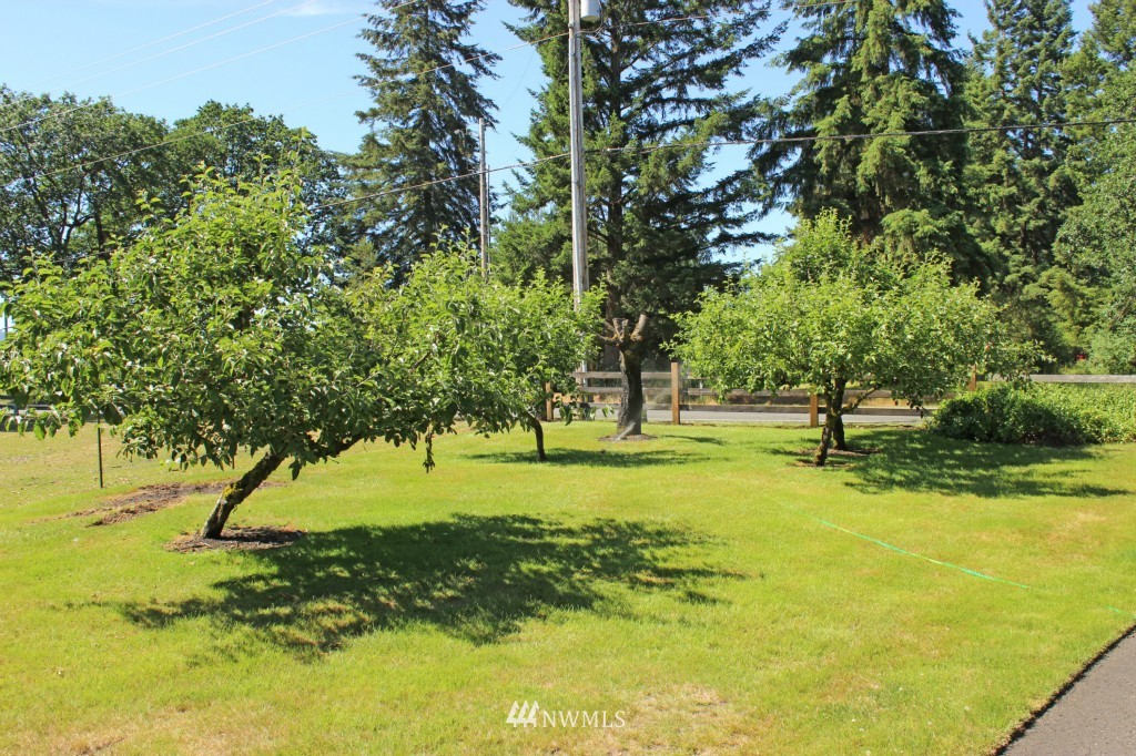 8041 183rd Avenue Southwest Rochester, WA 98579 - Photo 20 of 24