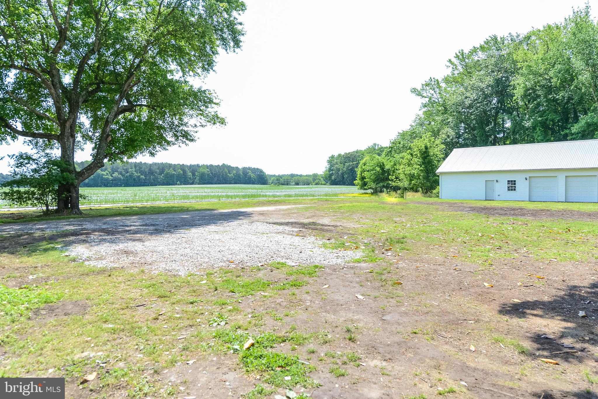 30951 East Line Road Delmar, MD 21875 - Photo 34 of 38